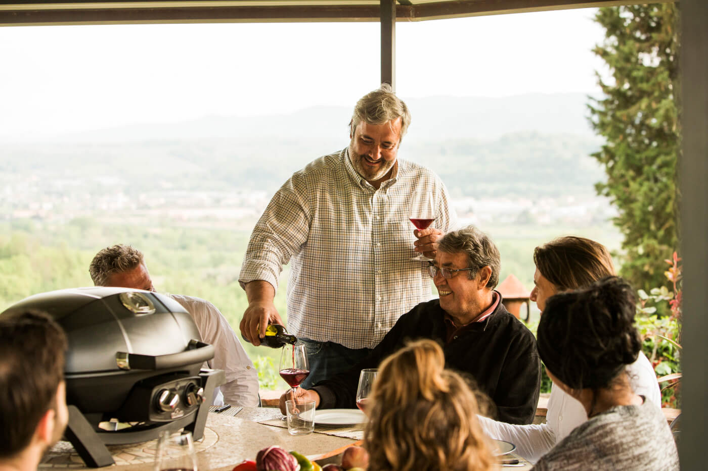 Napoleon - TRAVELQ™ PRO285, Gas