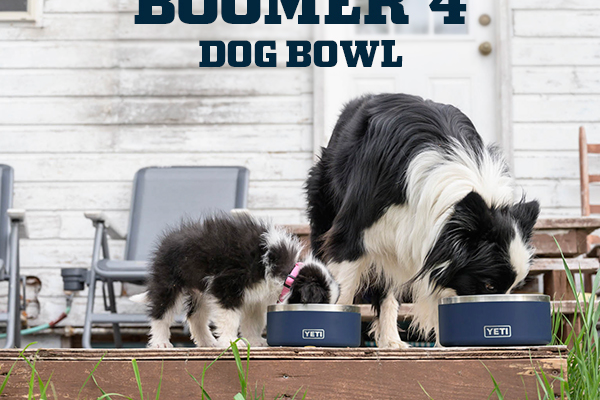 YETI Boomer™ 4 - Dog Bowl Dog Food Bowl Dog Bowl